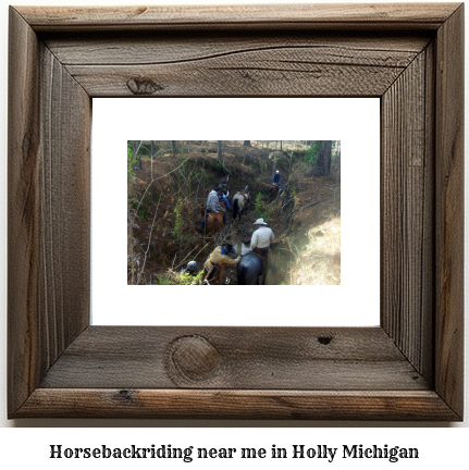 horseback riding near me in Holly, Michigan